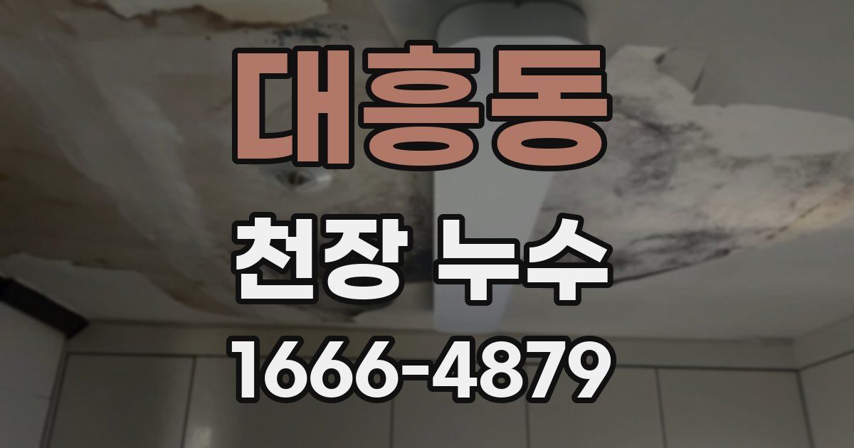 대흥동 천장 누수