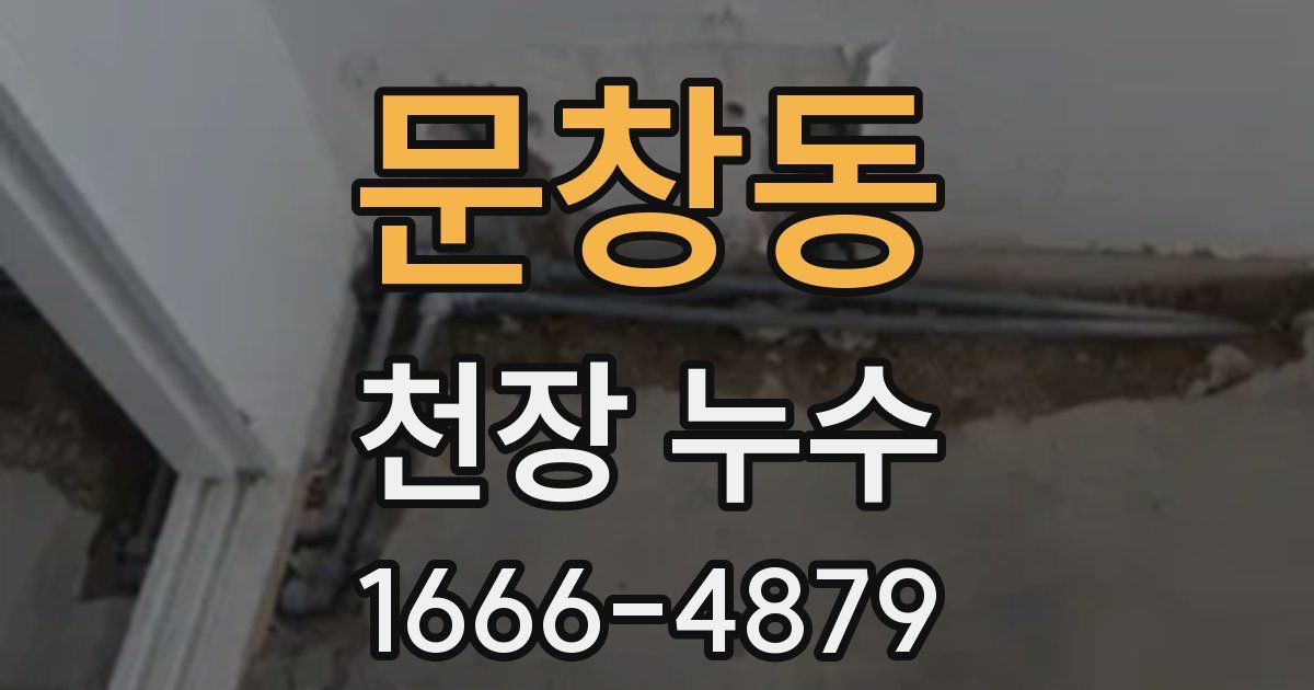 문창동 천장 누수