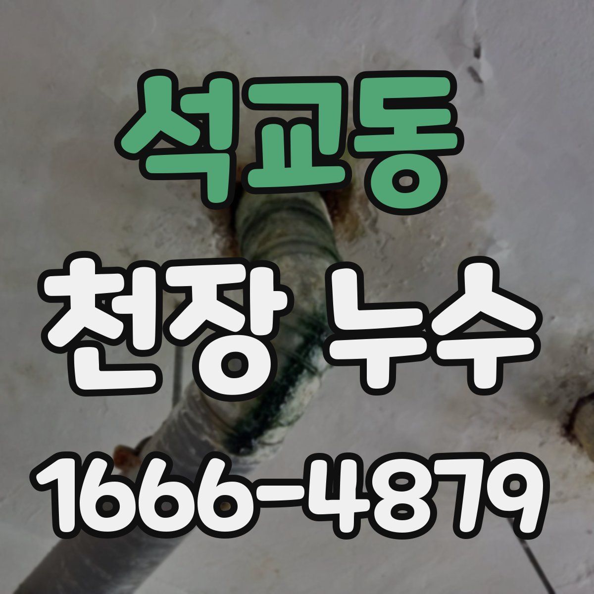 석교동 천장 누수