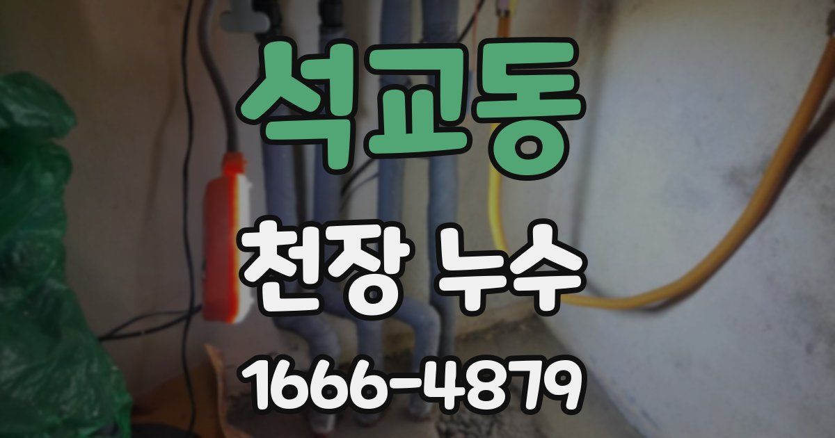 석교동 천장 누수