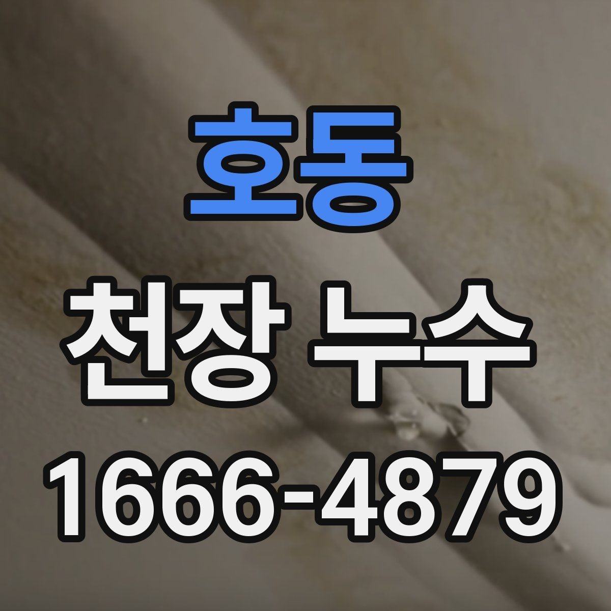 호동 천장 누수 외벽 유입이 천장에 나타나는 경우
