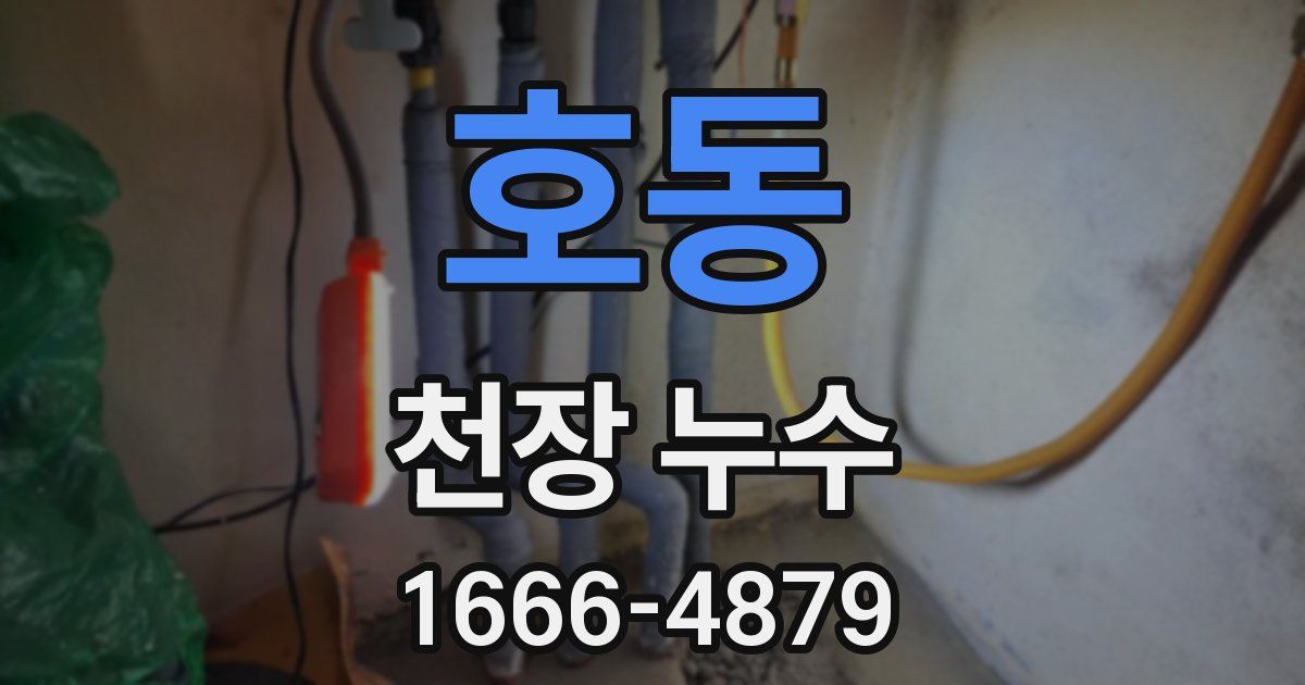 호동 천장 누수