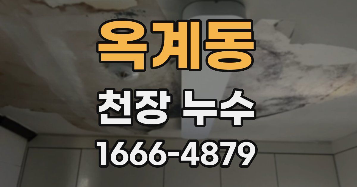 옥계동 천장 누수