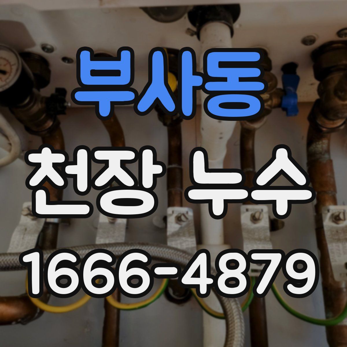 부사동 천장 누수