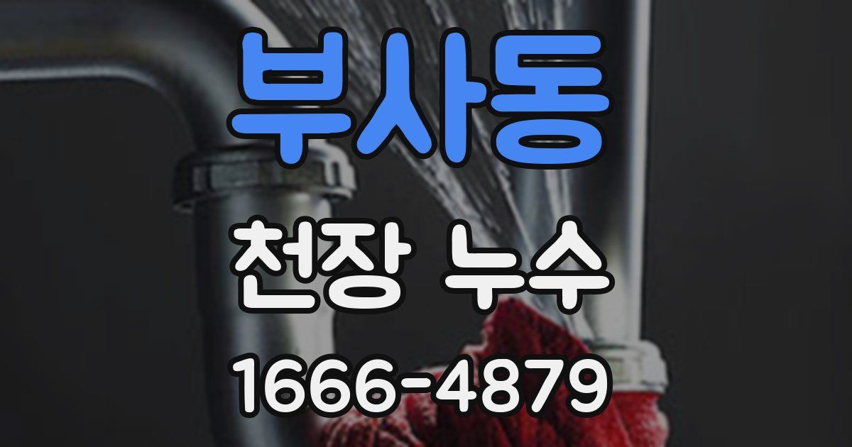 부사동 천장 누수