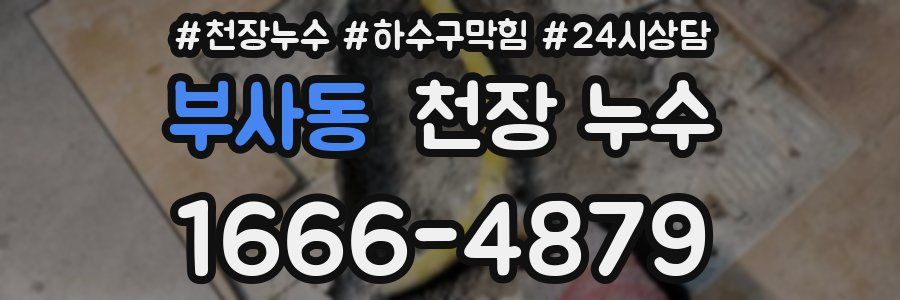 부사동 천장 누수