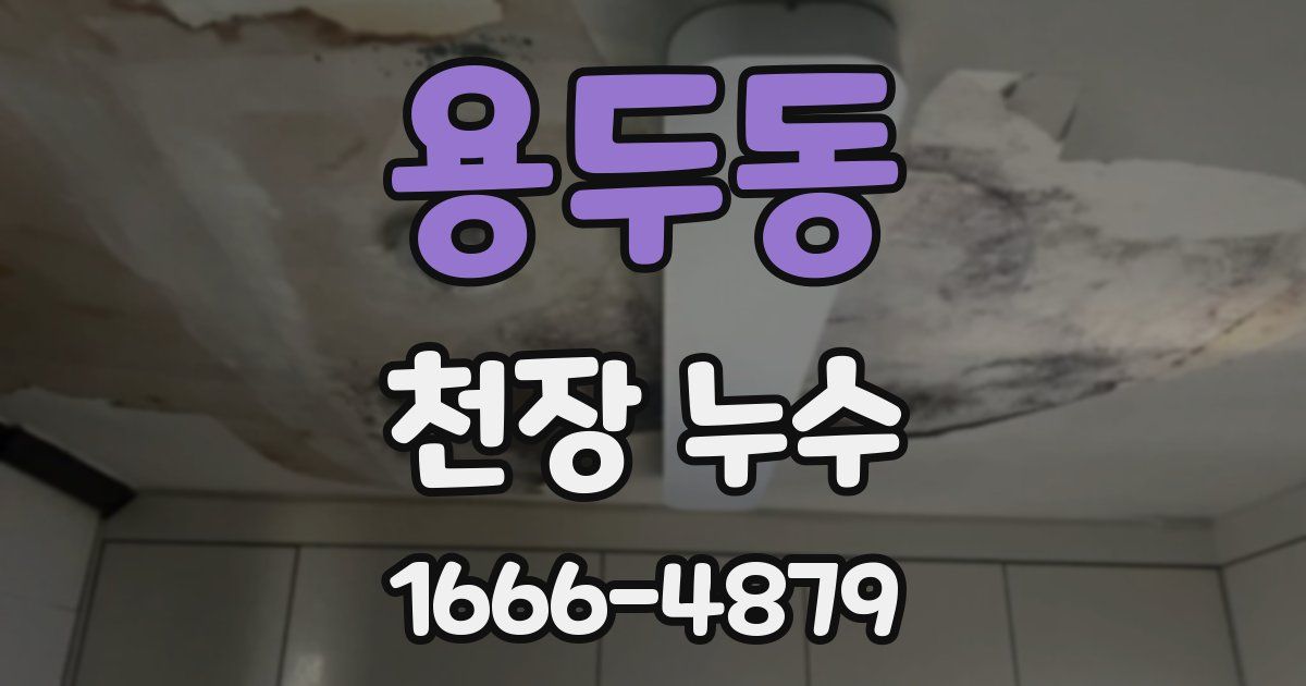 용두동 천장 누수