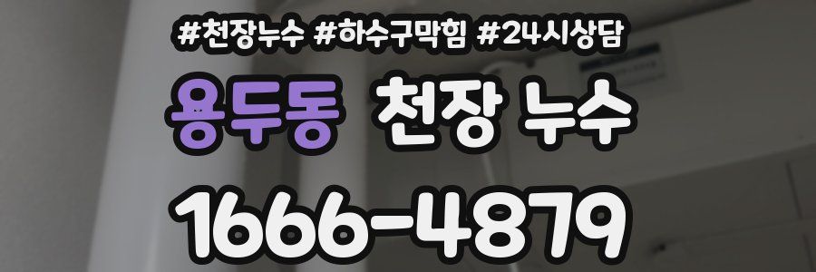 용두동 천장 누수