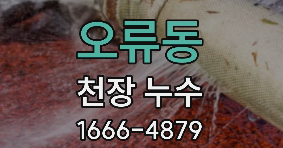 오류동 천장 누수