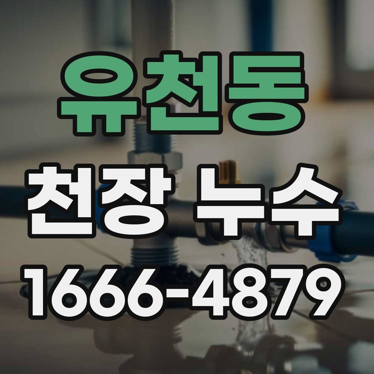 유천동 천장 누수 천장 틈새로 물이 스며드는 상황 정리