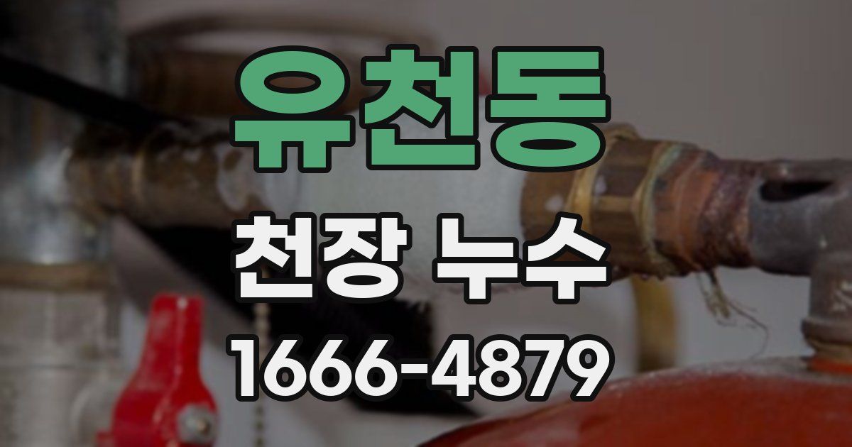 유천동 천장 누수