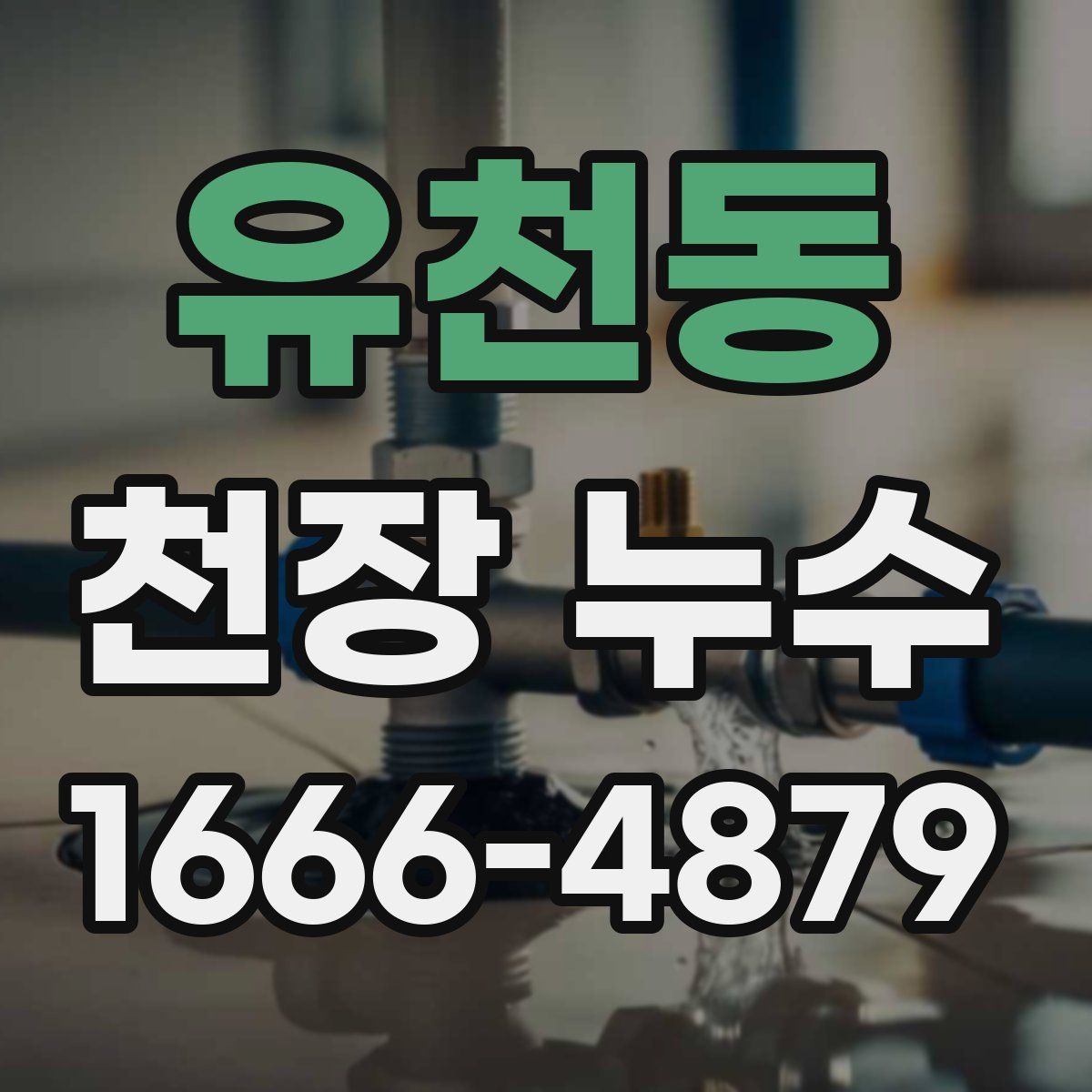 유천동 천장 누수