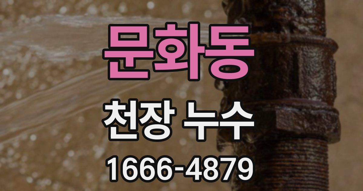 문화동 천장 누수