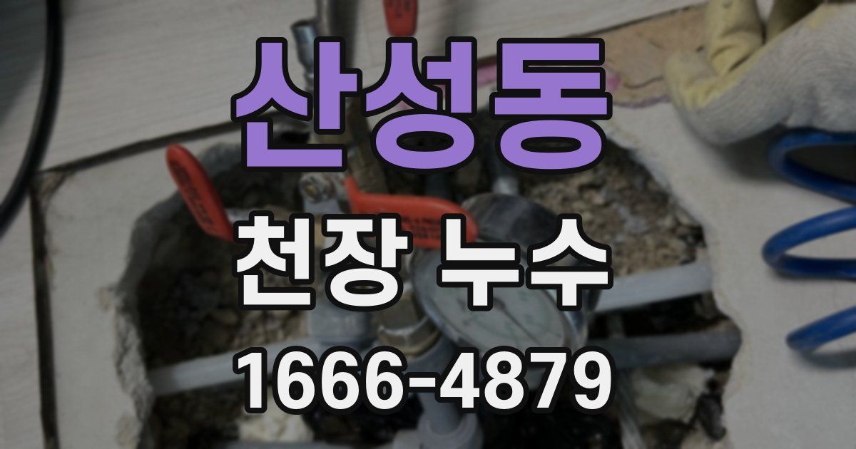 산성동 천장 누수