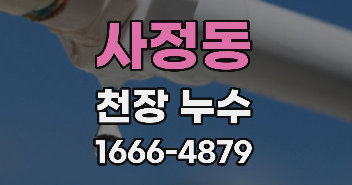 사정동 천장 누수