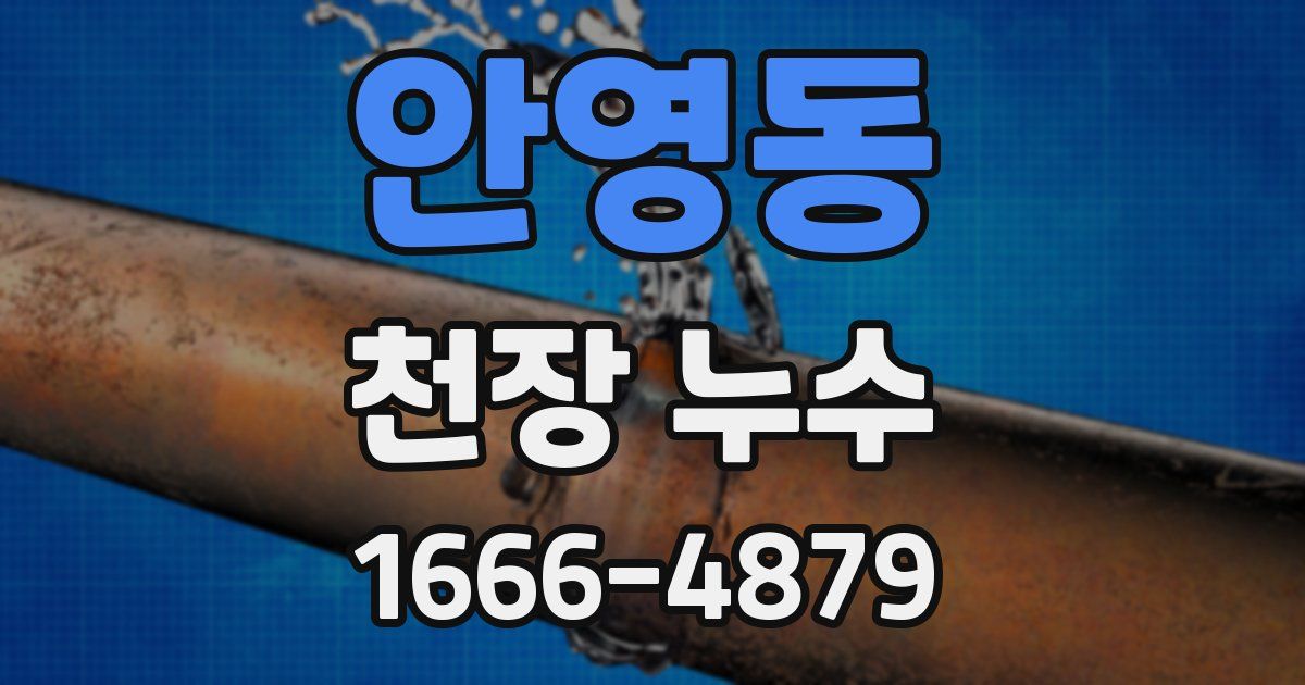 안영동 천장 누수