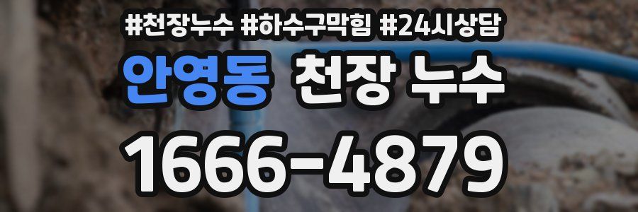 안영동 천장 누수