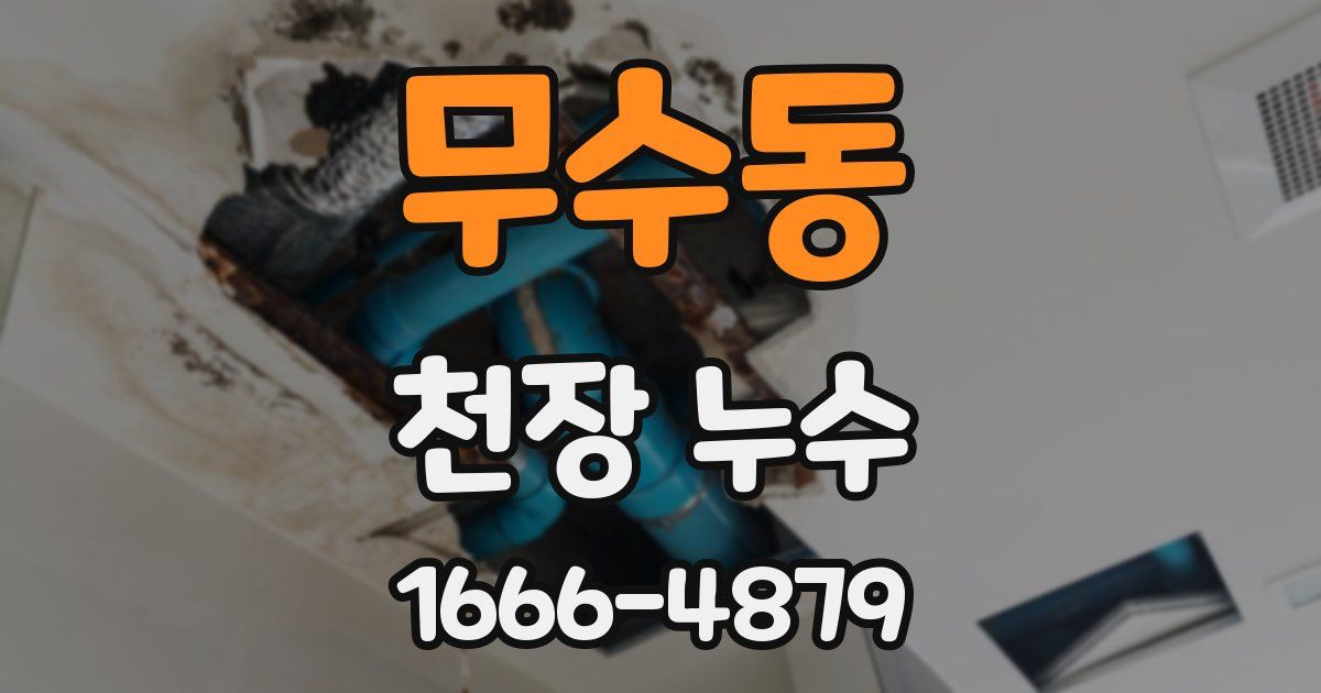 무수동 천장 누수