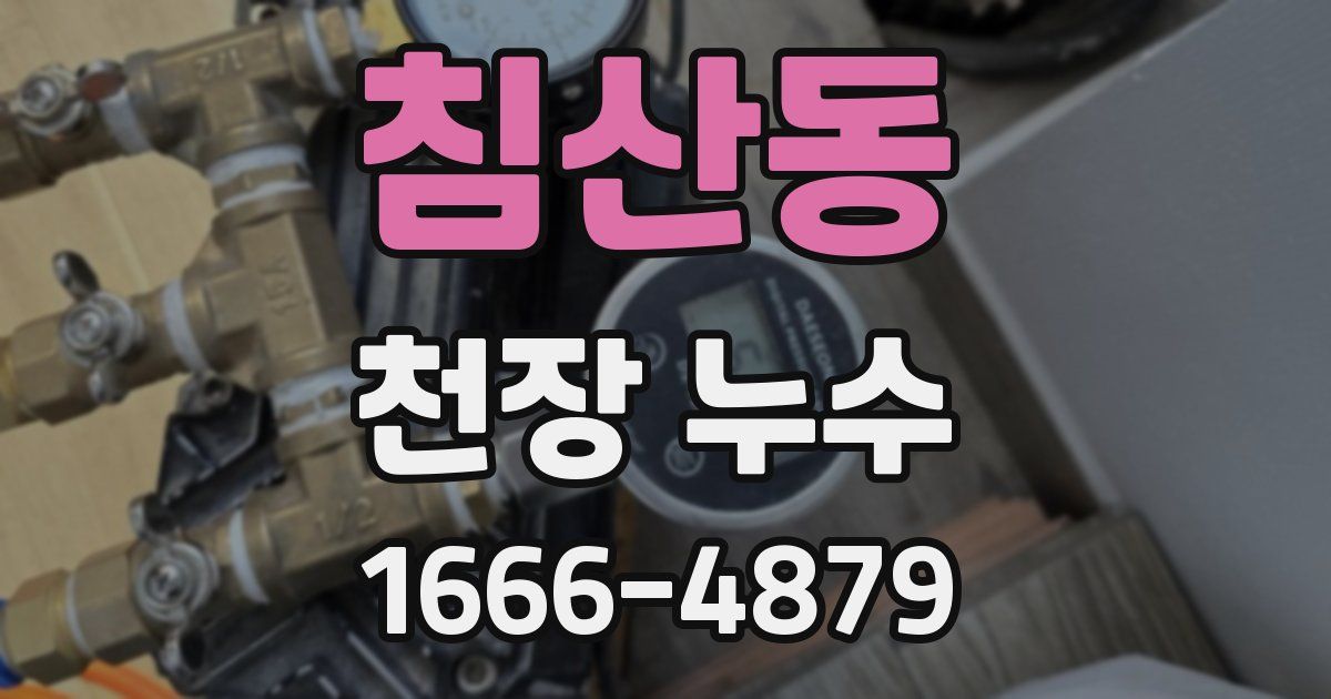 침산동 천장 누수