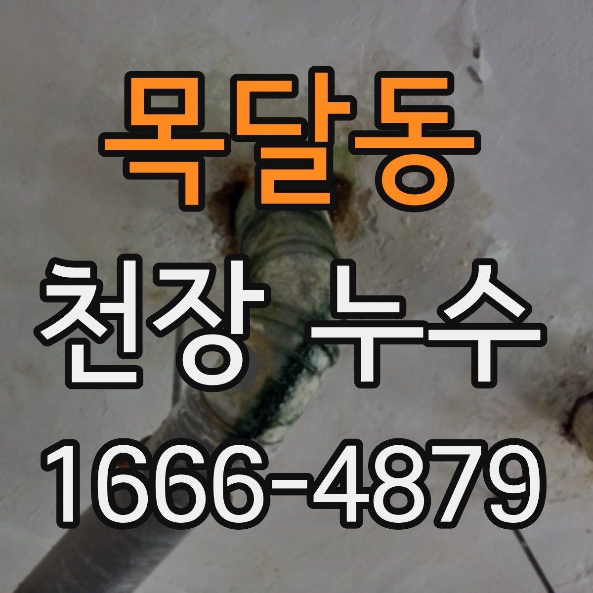 목달동 천장 누수 천장 누수, 작은 신호부터 놓치지 마세요