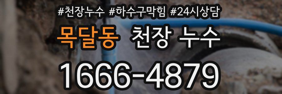 목달동 천장 누수