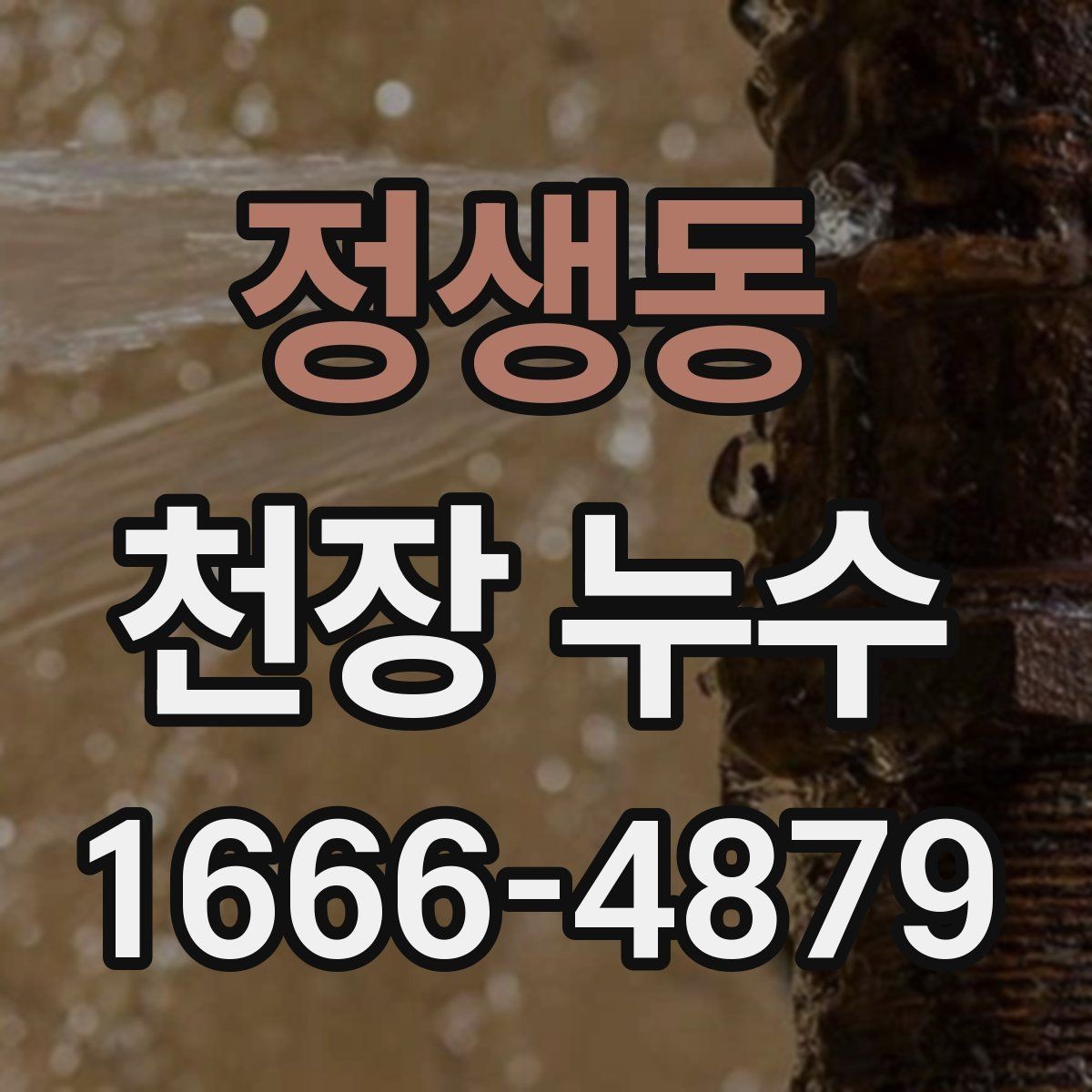 정생동 천장 누수 얼룩이 길게 흐르면 유입 경로가 다를 수 있어요