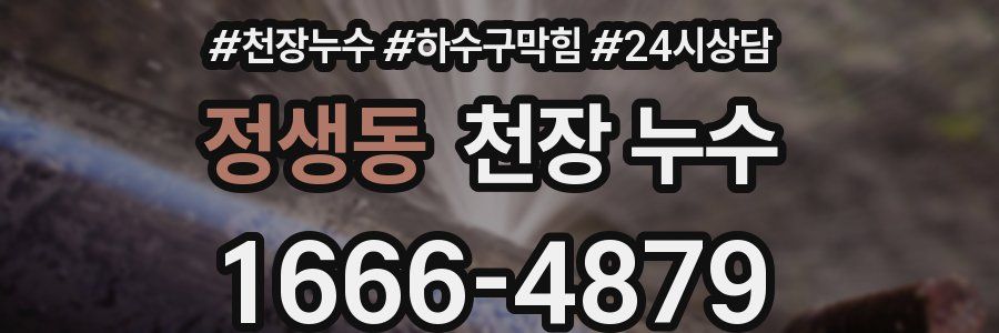 정생동 천장 누수