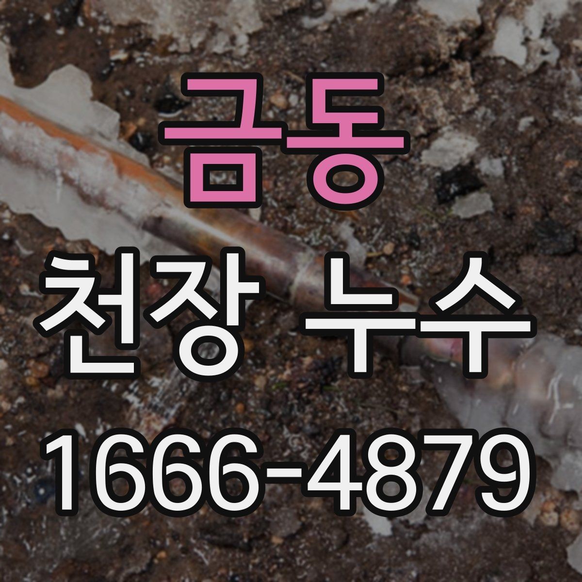 금동 천장 누수 천장 가까이에서 퀴퀴한 냄새가 올라올 때