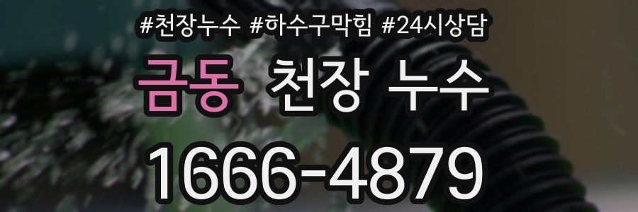 금동 천장 누수