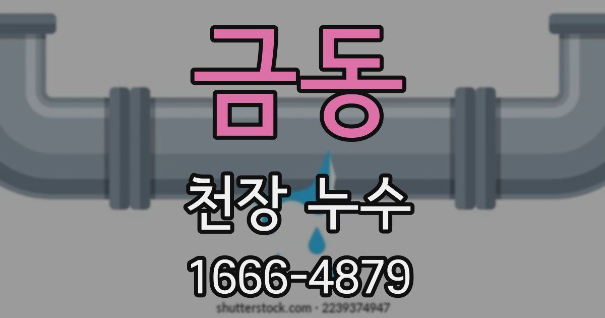 금동 천장 누수