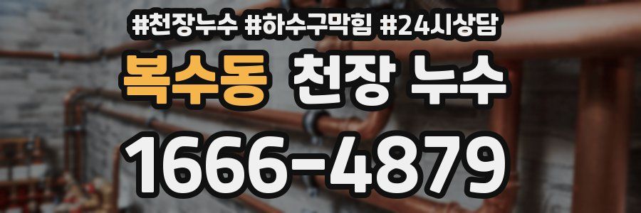 복수동 천장 누수