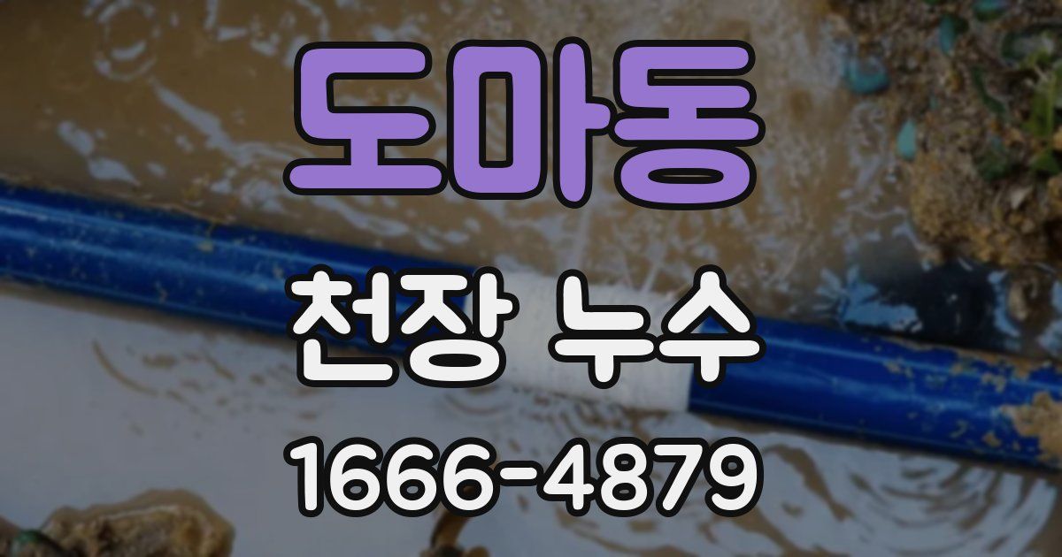 도마동 천장 누수