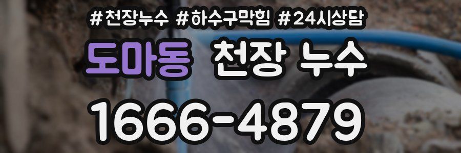 도마동 천장 누수