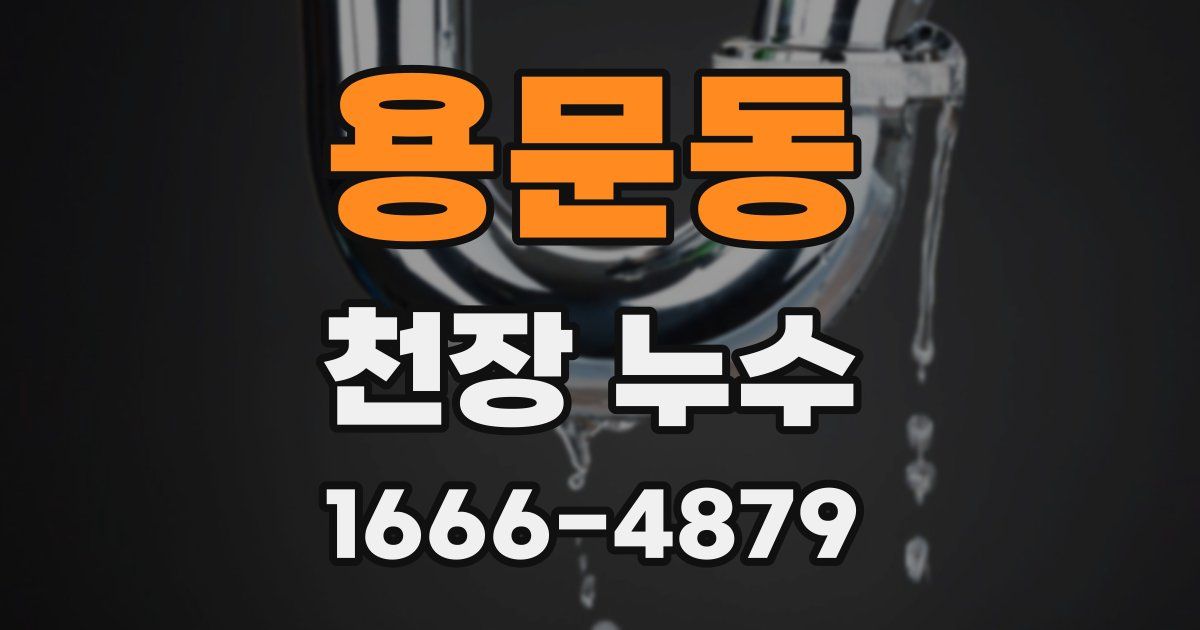 용문동 천장 누수