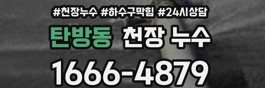 탄방동 천장 누수