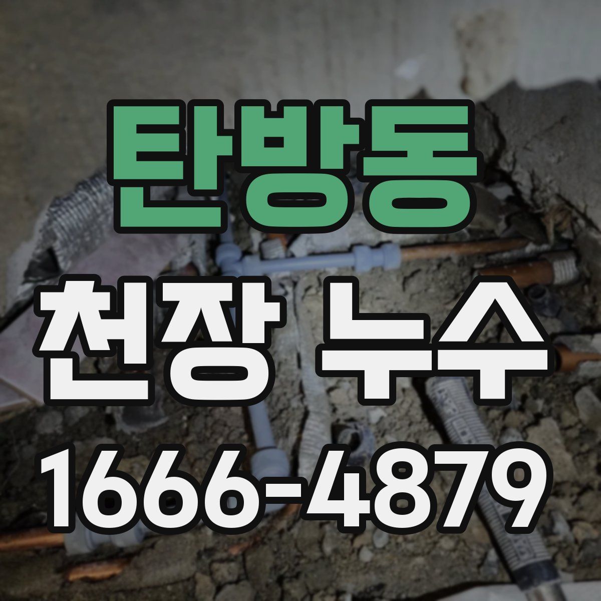 탄방동 천장 누수