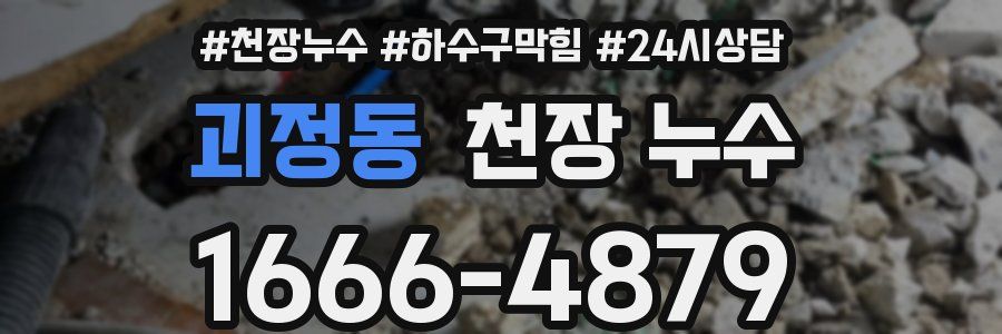 괴정동 천장 누수