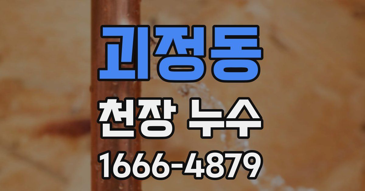 괴정동 천장 누수