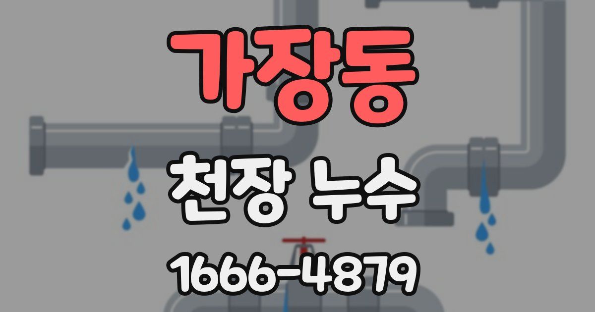 가장동 천장 누수