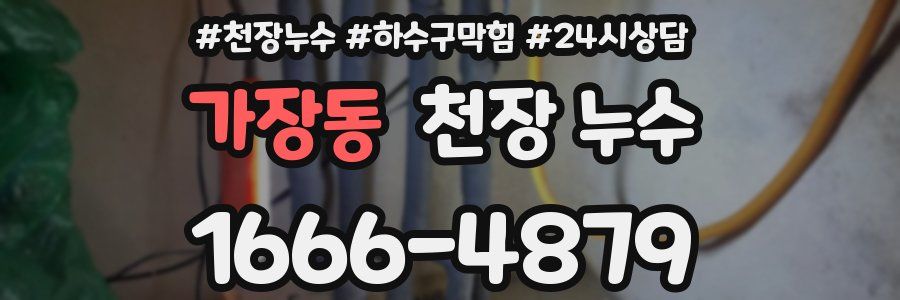 가장동 천장 누수