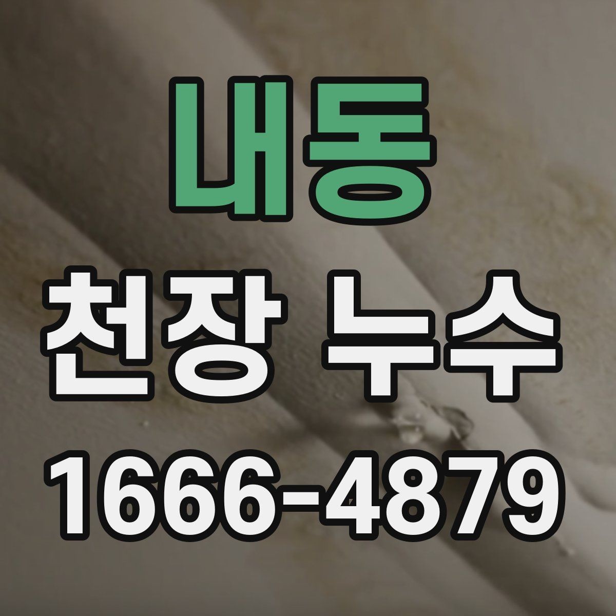 내동 천장 누수 천장 가까이에서 퀴퀴한 냄새가 올라올 때