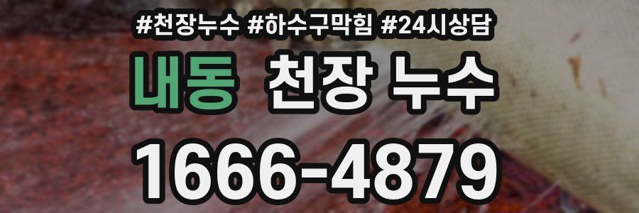 내동 천장 누수