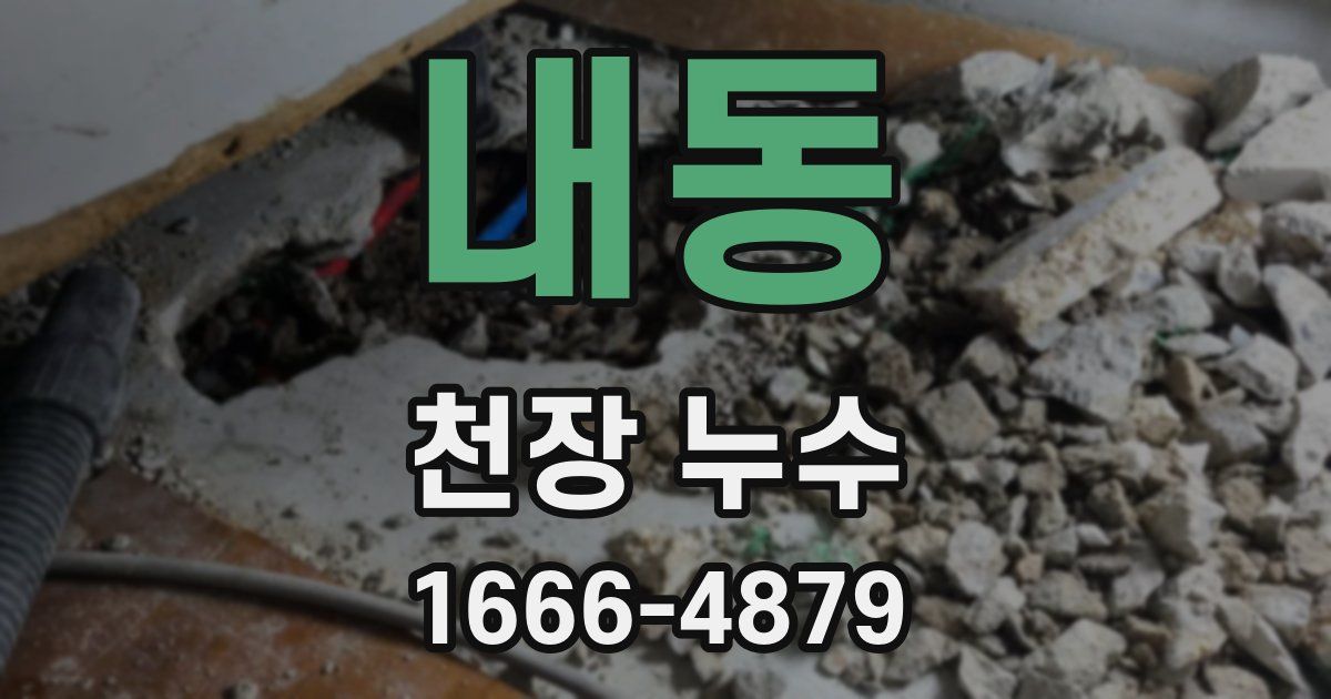 내동 천장 누수