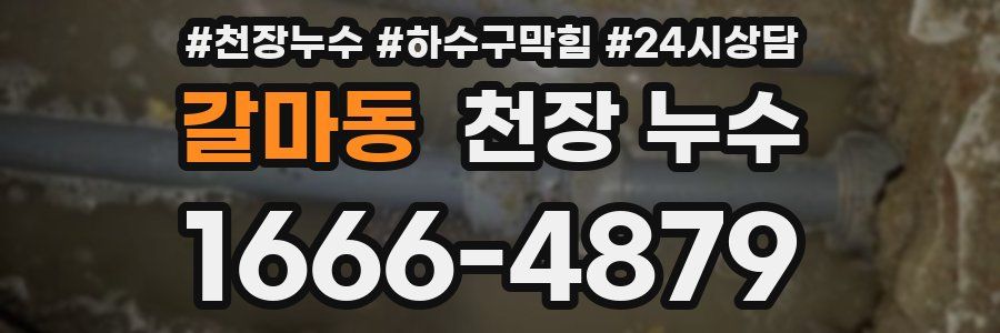 갈마동 천장 누수