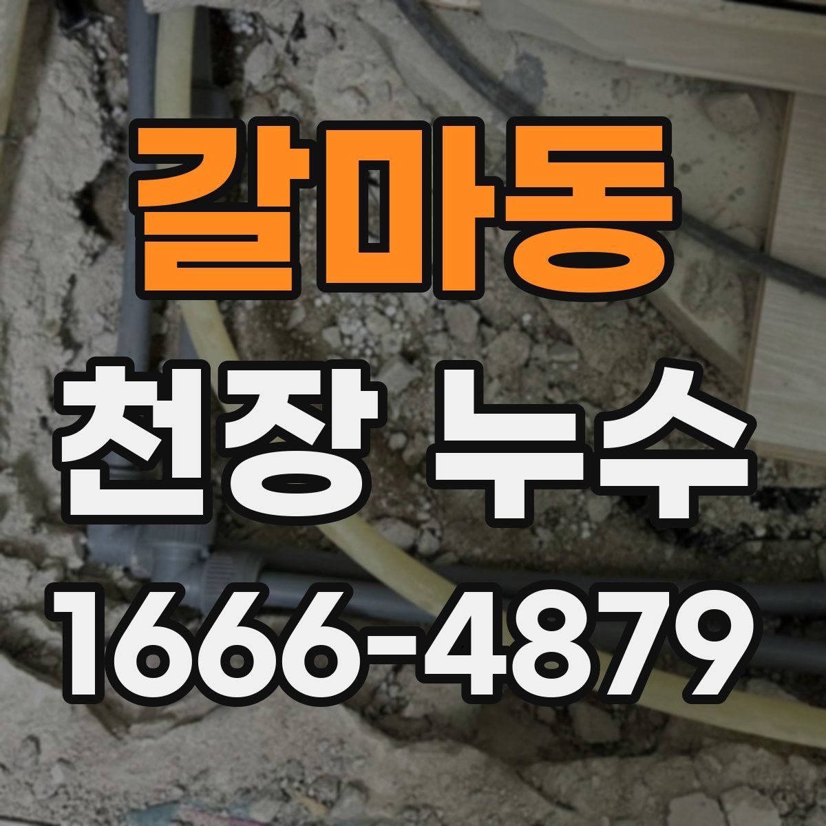 갈마동 천장 누수