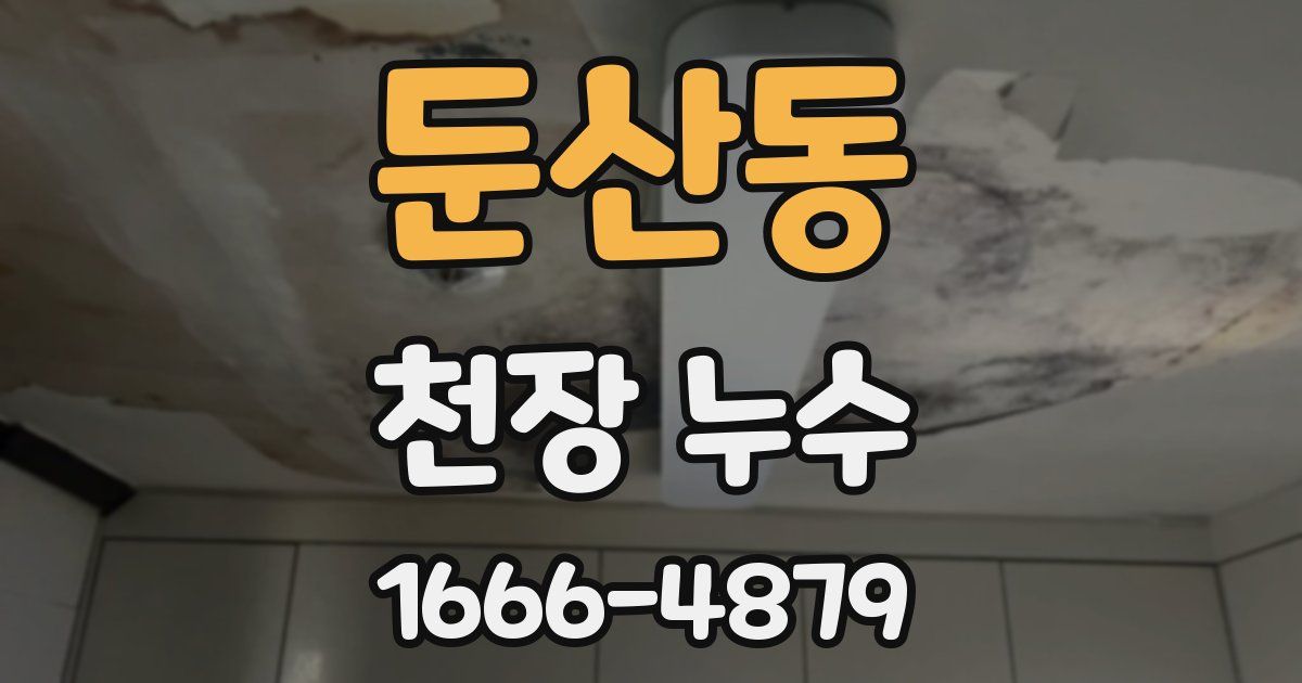 둔산동 천장 누수