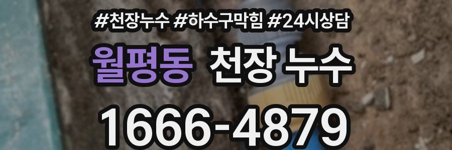 월평동 천장 누수