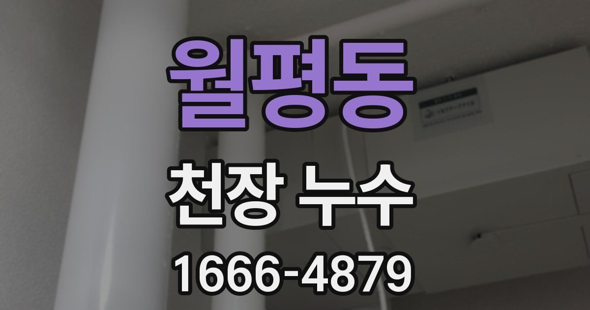 월평동 천장 누수