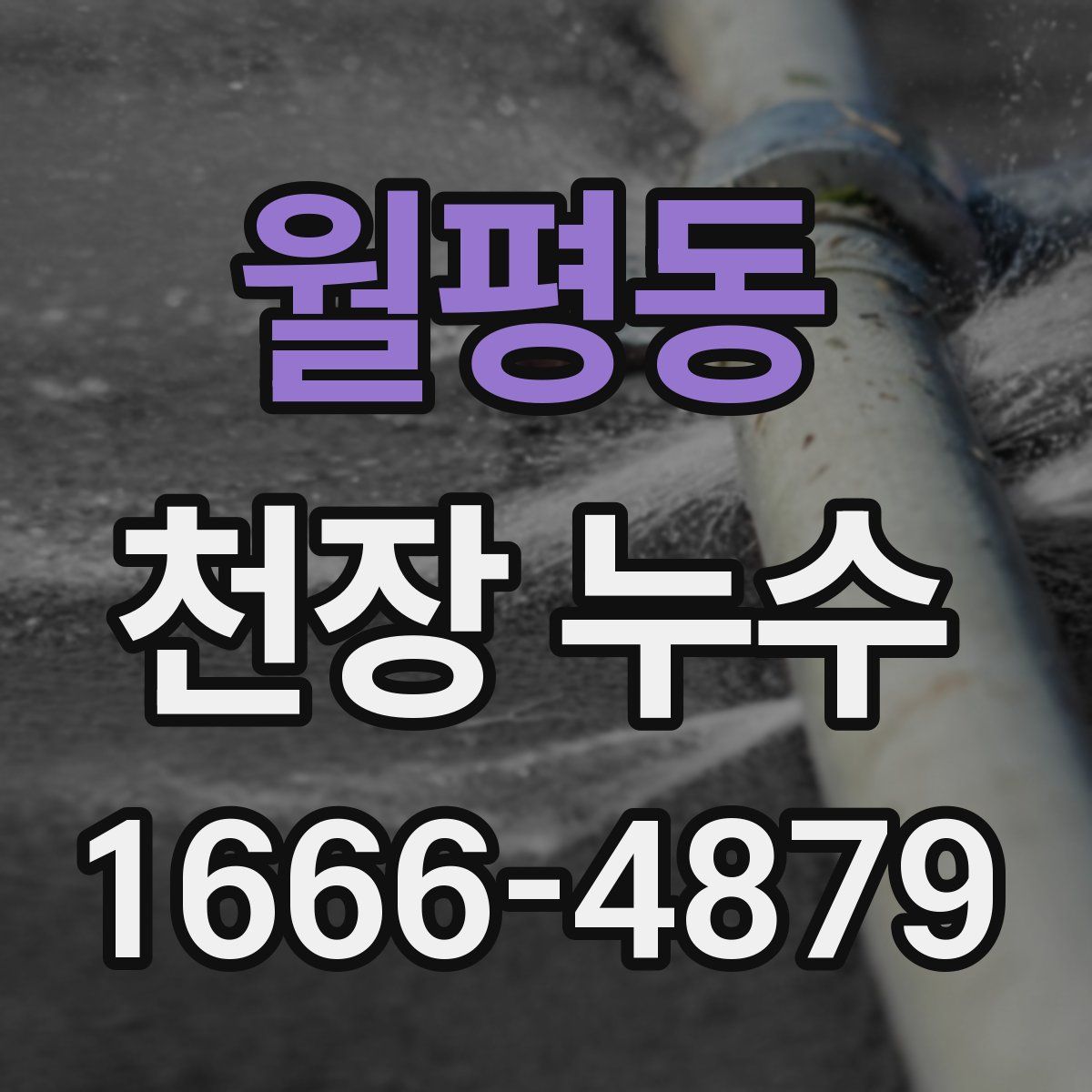 월평동 천장 누수