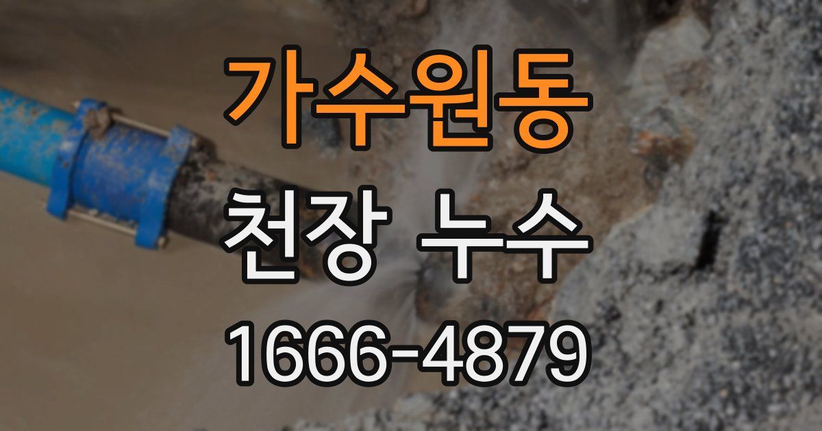 가수원동 천장 누수